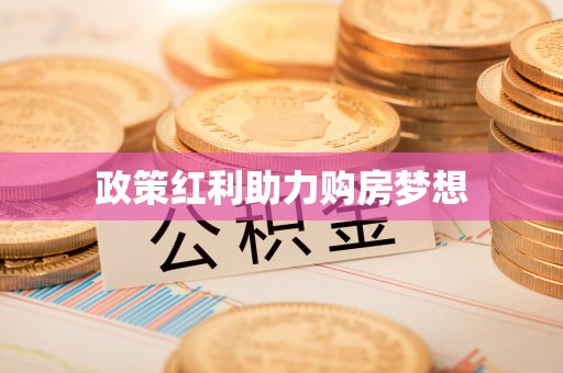 香港岛政策红利助力购房梦想