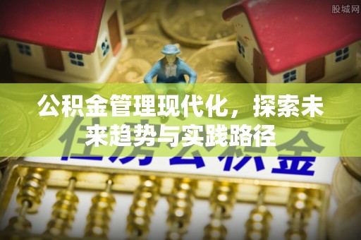 香港岛公积金管理现代化，探索未来趋势与实践路径