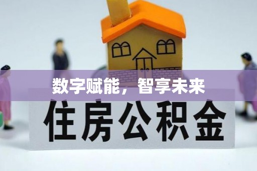 香港岛数字赋能，智享未来