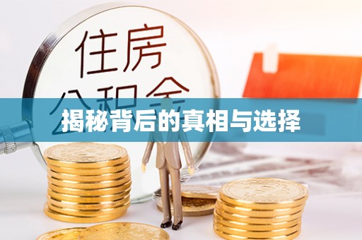 香港岛揭秘背后的真相与选择