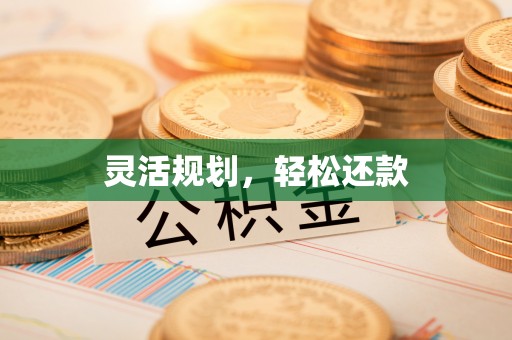 香港岛灵活规划，轻松还款