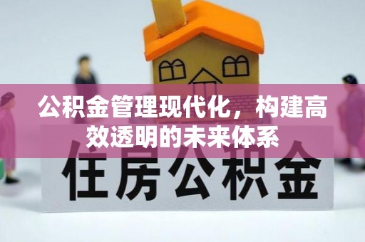 香港岛公积金管理现代化，构建高效透明的未来体系