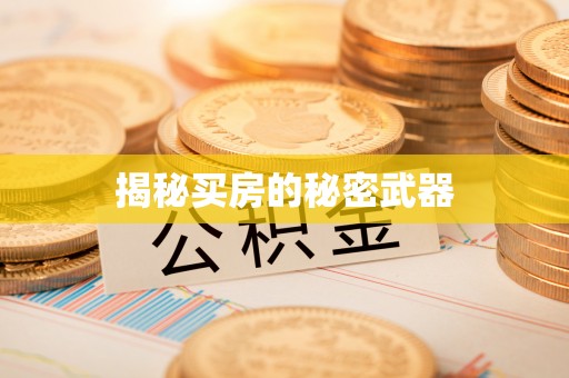 香港岛揭秘买房的秘密武器