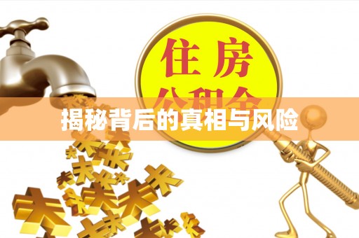 香港岛揭秘背后的真相与风险