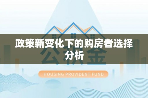 香港岛政策新变化下的购房者选择分析