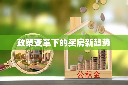 香港岛政策变革下的买房新趋势