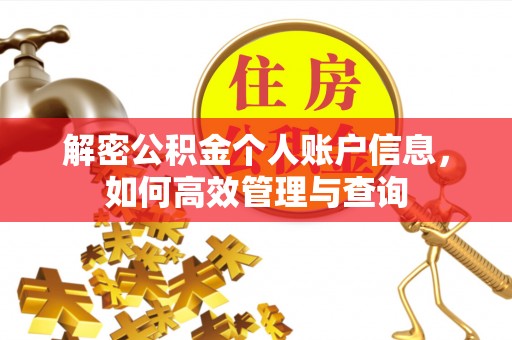 香港岛解密公积金个人账户信息，如何高效管理与查询
