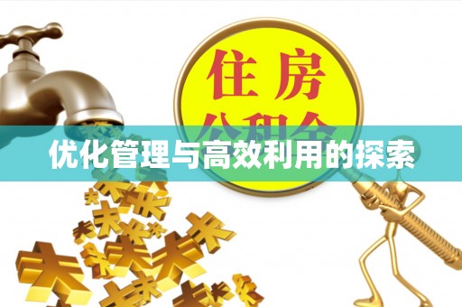 香港岛优化管理与高效利用的探索