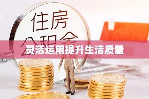 香港岛灵活运用提升生活质量