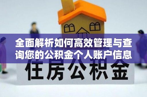 香港岛全面解析如何高效管理与查询您的公积金个人账户信息