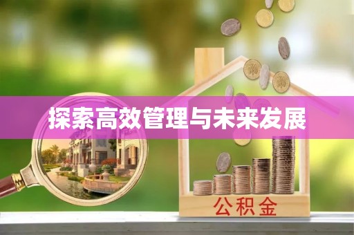 香港岛探索高效管理与未来发展