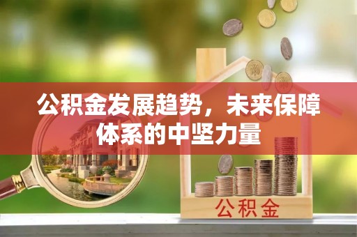 香港岛公积金发展趋势，未来保障体系的中坚力量