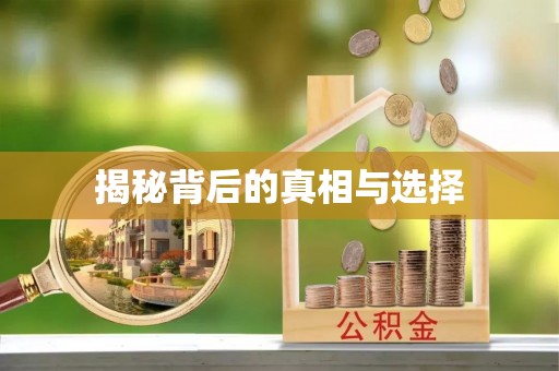 香港岛揭秘背后的真相与选择
