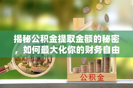 香港岛揭秘公积金提取金额的秘密，如何最大化你的财务自由