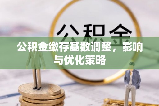 香港岛公积金缴存基数调整，影响与优化策略