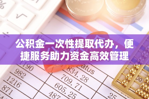 香港岛公积金一次性提取代办，便捷服务助力资金高效管理