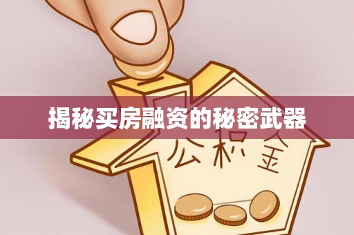 香港岛揭秘买房融资的秘密武器