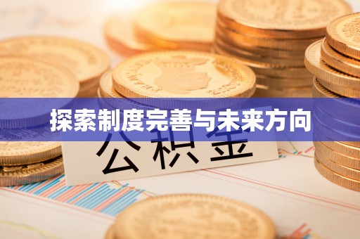 香港岛探索制度完善与未来方向