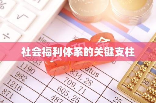 香港岛社会福利体系的关键支柱