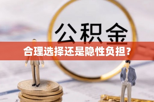 香港岛合理选择还是隐性负担？