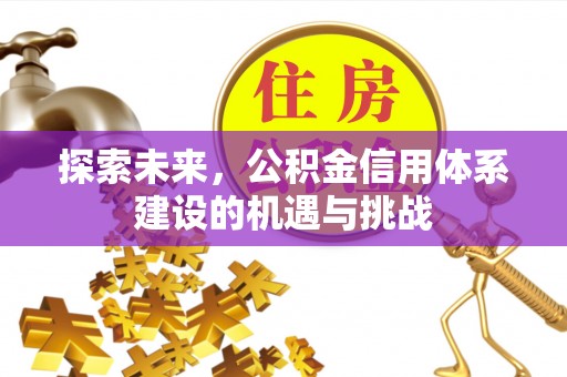 香港岛探索未来，公积金信用体系建设的机遇与挑战
