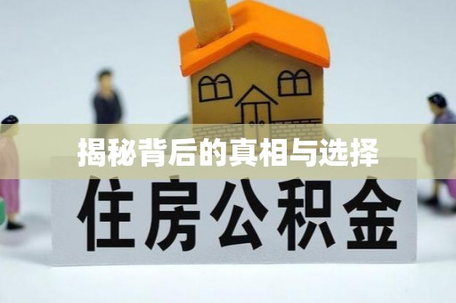 香港岛揭秘背后的真相与选择