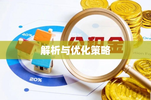 香港岛解析与优化策略