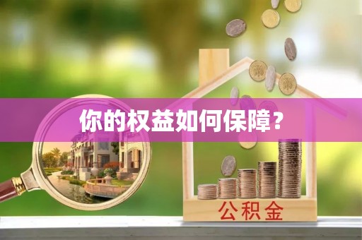 香港岛你的权益如何保障？