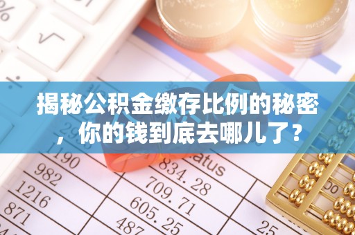 香港岛揭秘公积金缴存比例的秘密，你的钱到底去哪儿了？