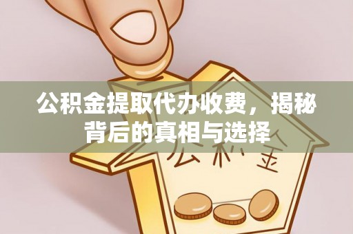 香港岛公积金提取代办收费，揭秘背后的真相与选择