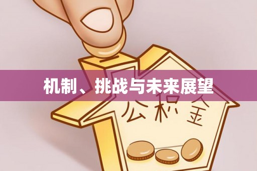 香港岛机制、挑战与未来展望