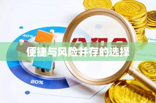 香港岛便捷与风险并存的选择